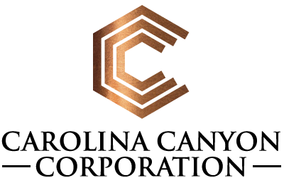 3C Logo